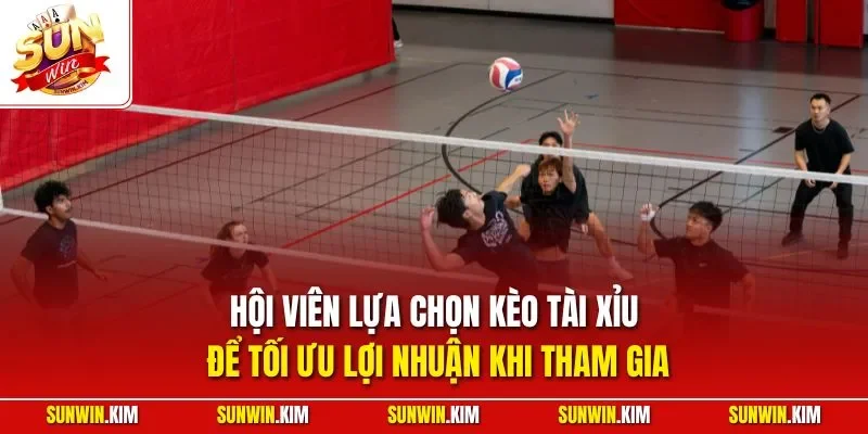 Hội viên lựa chọn kèo tài xỉu để tối ưu lợi nhuận khi tham gia